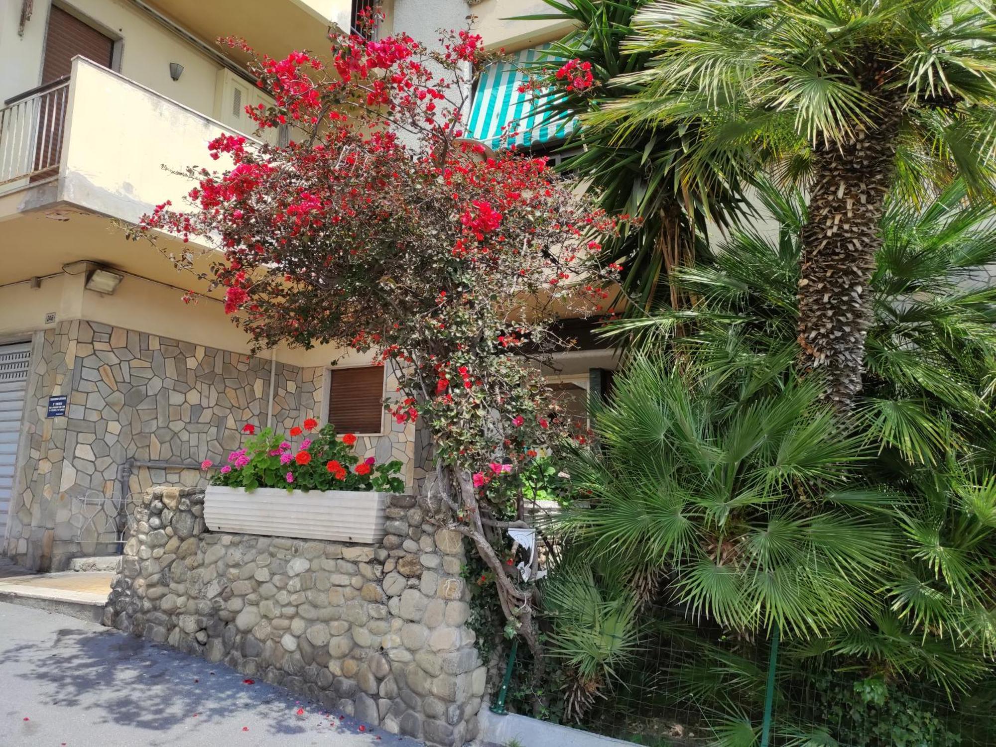 Indaco Sanremo